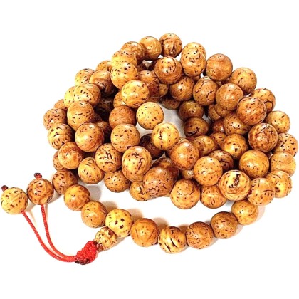 Bodhi Seed Mala 108 Beads for Meditation from Bodh Gaya India