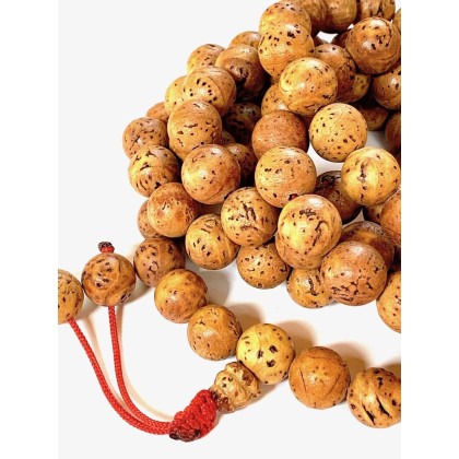 Bodhi Seed Mala 108 Beads for Meditation from Bodh Gaya India