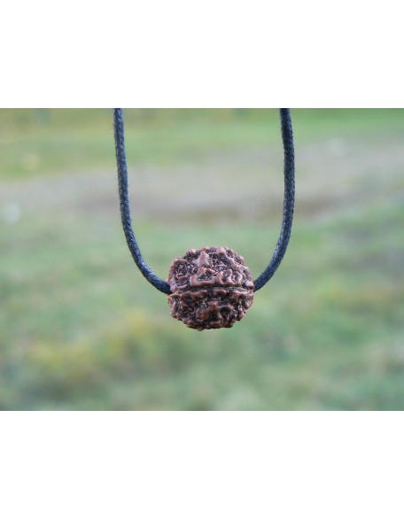 Rudraksha Pendant HANDMADE Real Original Big 5 Mukhi Mala Bead, Rudraksh Necklace on Adjustible Cotton Cord, Shiva Jewelry, Hindu protection necklace for men women (Black cotton cord)